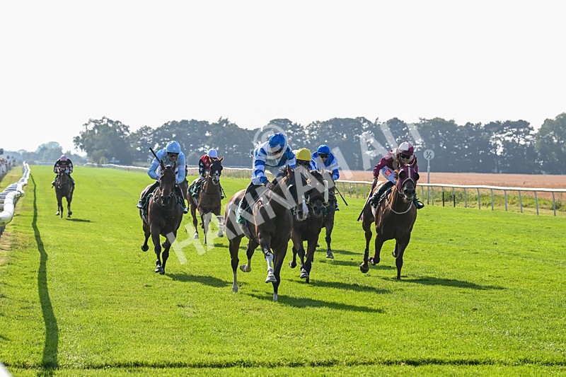 300824-Race 6-Havana Sky-6374 - Race 6