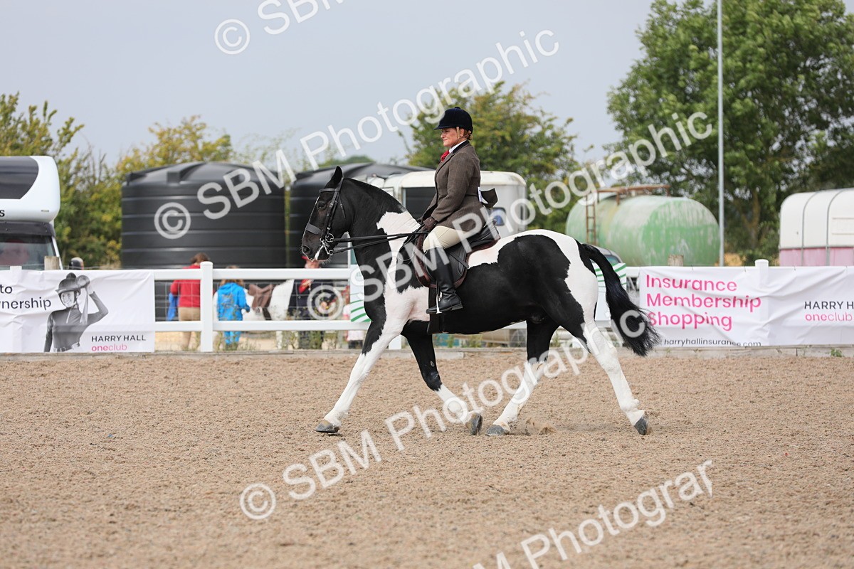 SBM_13360 - Class 308 Ridden Coloured Horse