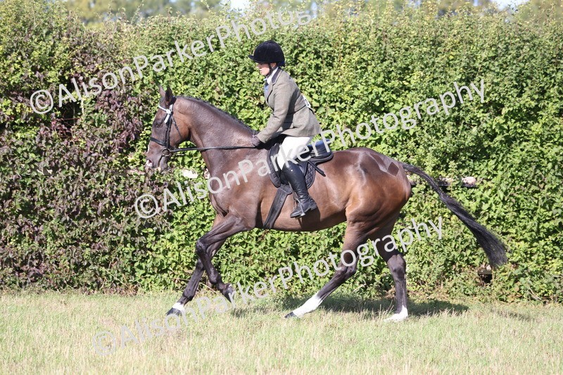 20260906-0412 - Class 14 - Ex Racehorse