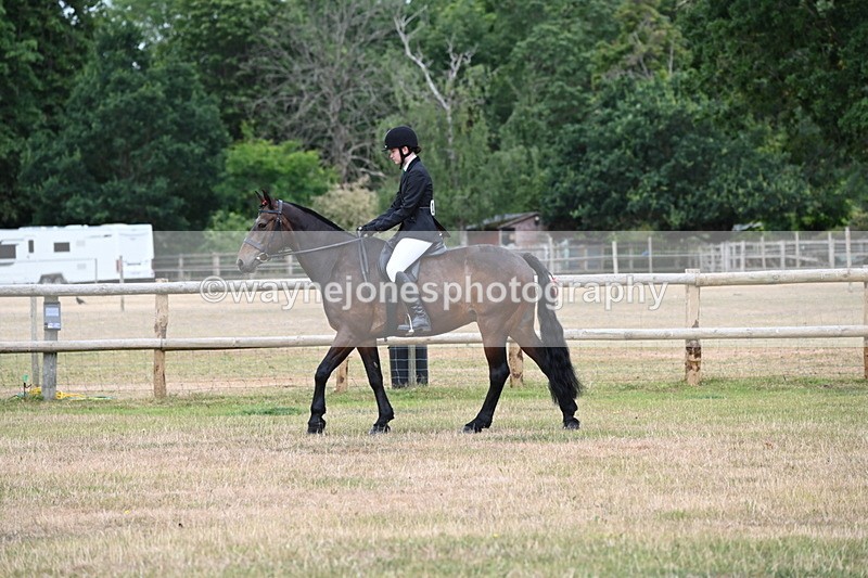 WJ6_3803 - Class 9 Tack & Turnout