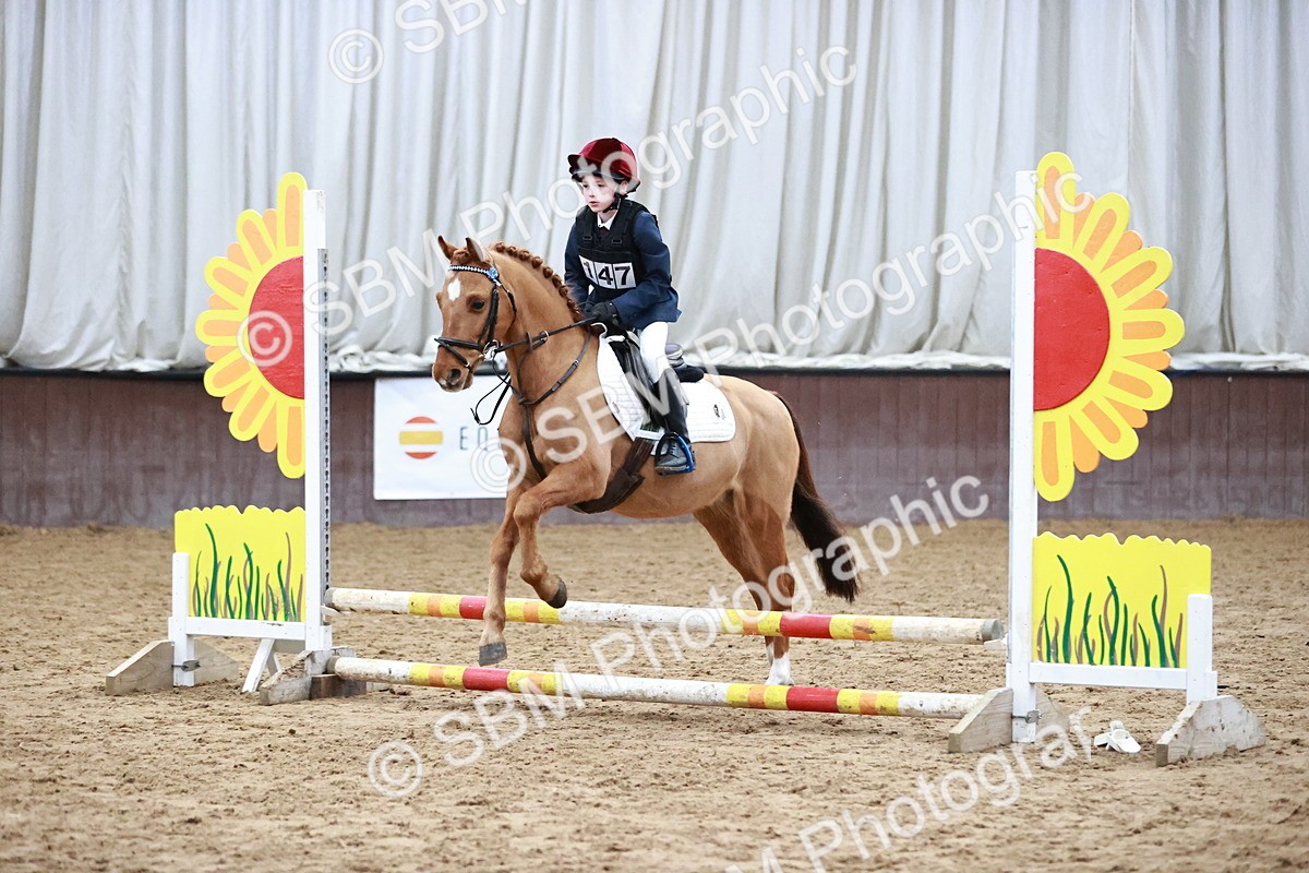 SBM_000387 - Class 2 - 50cm