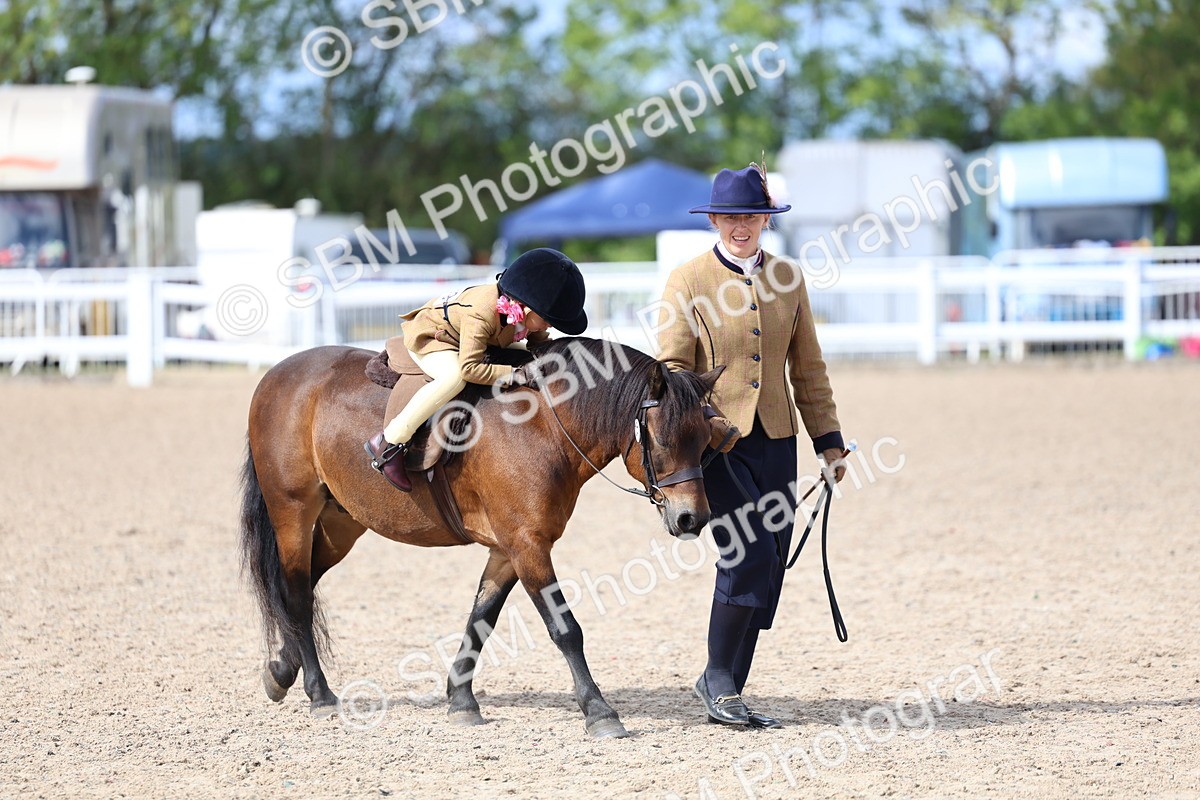 SBM_13080 - Class 309 - Lead Rein Pony