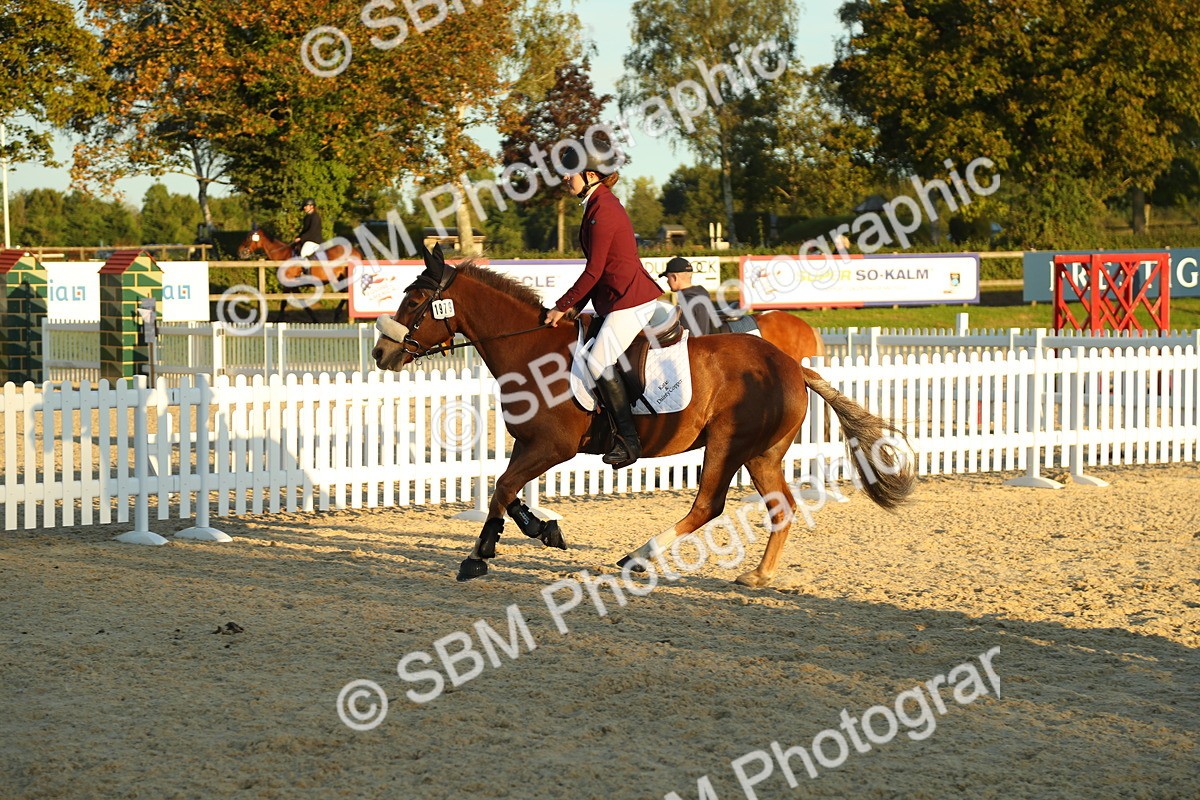 SBM_53971 - J8 - Junior Pony 65cm Championship