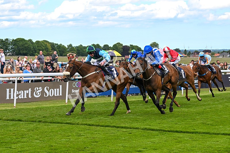 280525-Race 4-Princess Niyla-5238 - Race 4