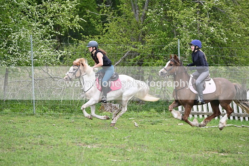WJ6_3393 - A camera