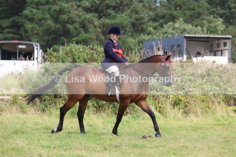 3E7A5000 - Ridden Championship