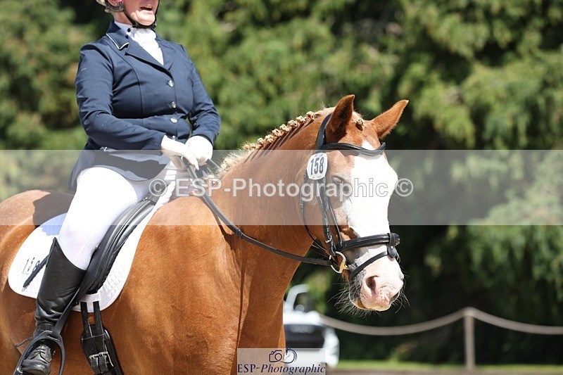 230811-133526-01839 - Cls 1 Prelim Bronze 13.30 to 14.50 break