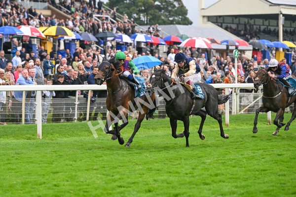 080924-Race 5-Quinault-9318 - Race 5 4.00pm Starman At Tally Ho Stud Garrowby Stakes