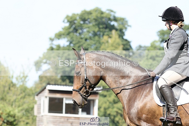 250823A-111032-27884 - Arena D