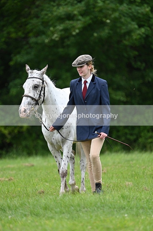 WJ7_4407 - Class 14B Prettiest Mare