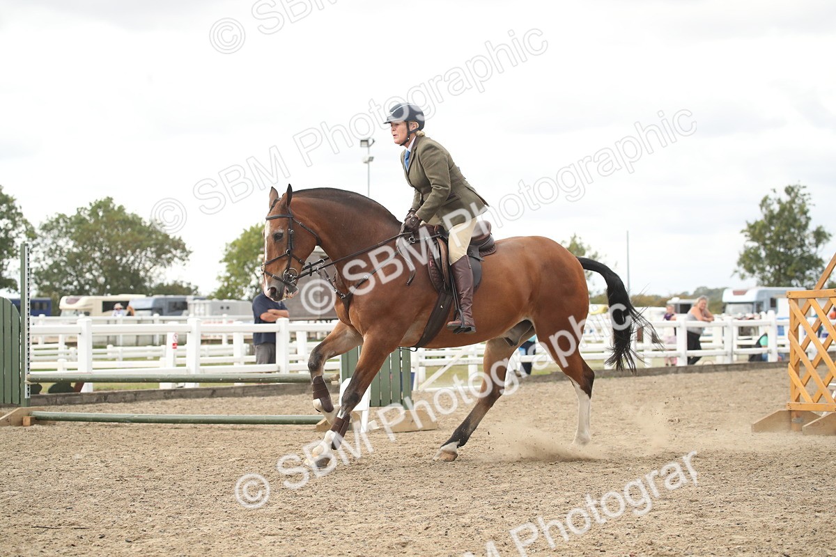 SBM_16612 - Class 507a - Working Veteran - 60cm (15-19)