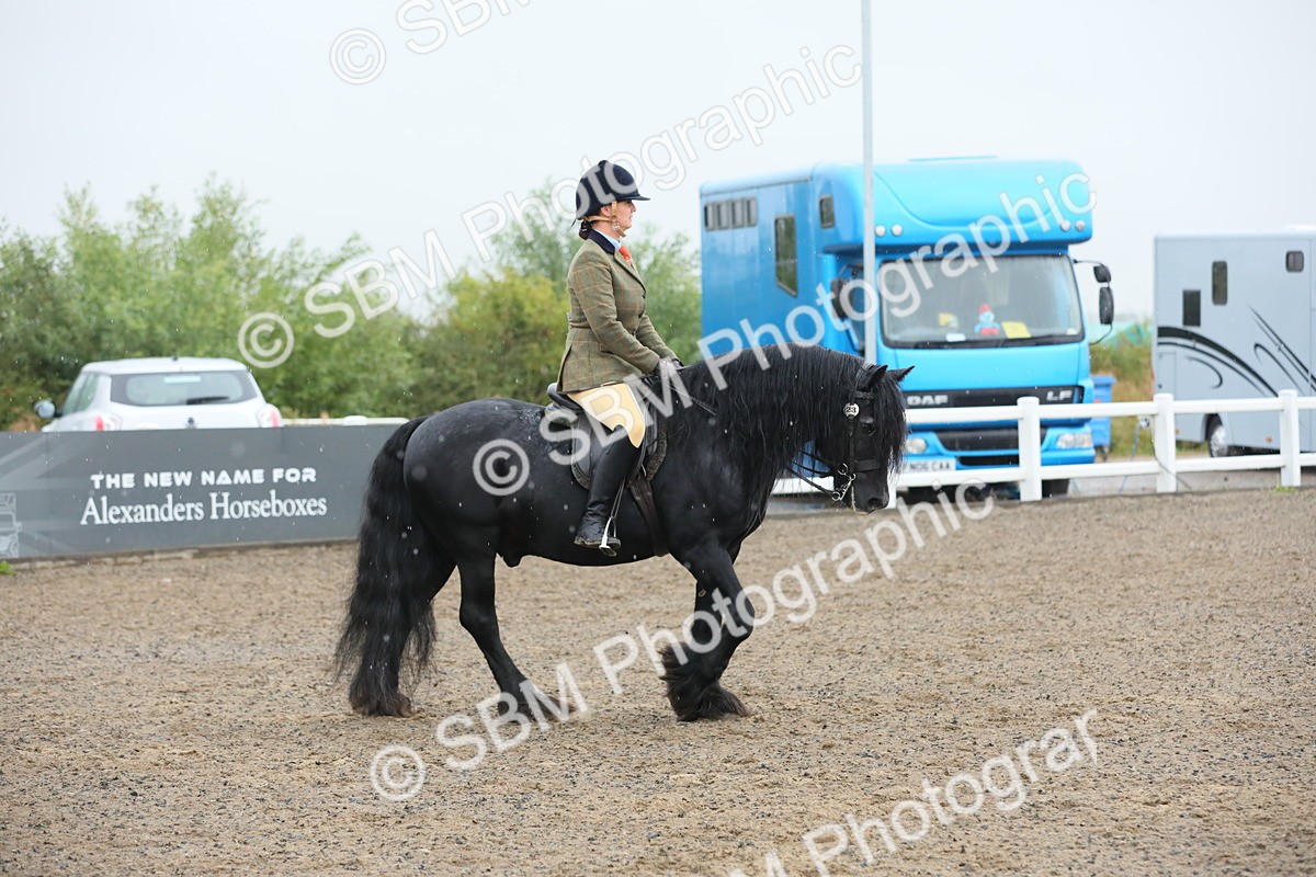 SBM_20536 - Class 804 - Ridden Veteran Pony