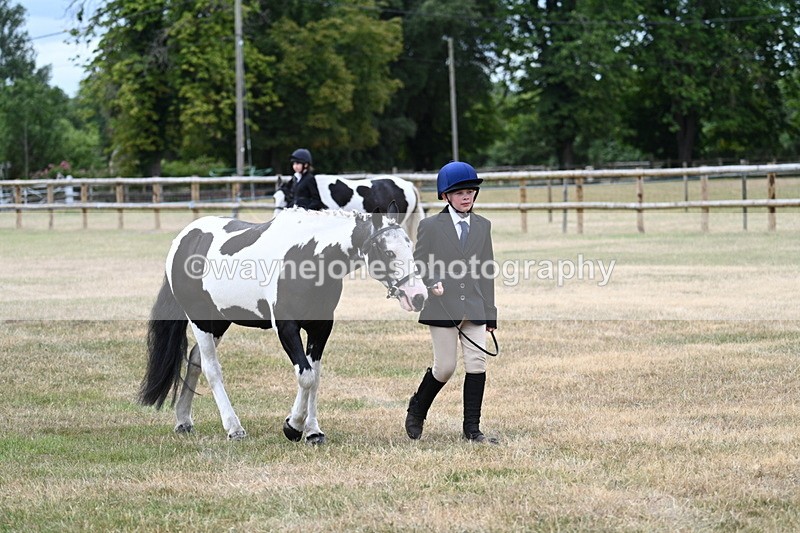 WJ7_1458 - Class 4 Prettiest Mare up to 14.2hh in hand