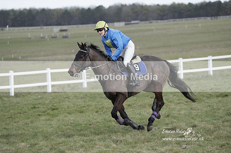 PtP 260223 162 - South & West Wilts Point-to-Point Larkhill 26/02/23