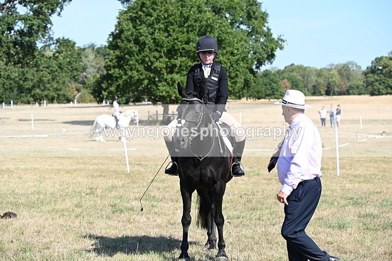 WJ6_7596 - Class 34 Judges Choice