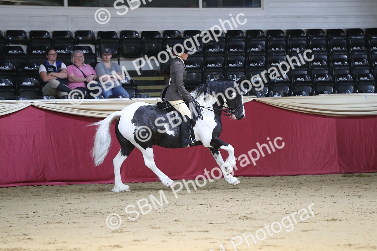 SBM_02926 - Class 6a Area Ridden Pre Vet