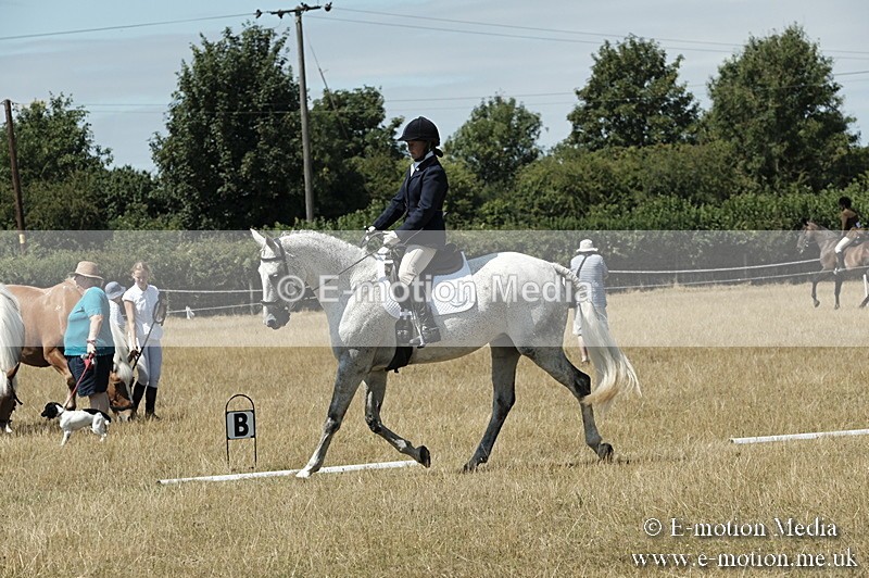 _PJP5894 - Dressage Classes BVRC Show 2018