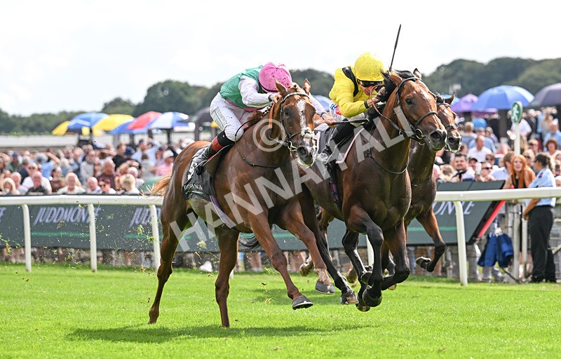 190826-124 Item - Race 4 15.35pm Juddmonte International Stakes