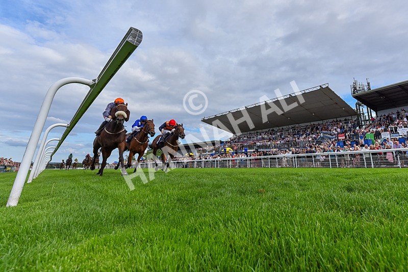 300826-Race 6-Court Legend-6705 - Race 6 4.30pm Return Of The Legend Martin Spencer Nursery Handicap
