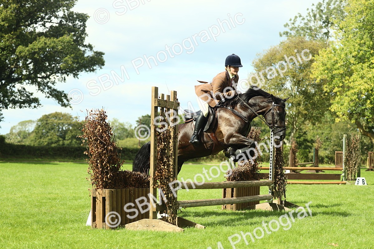 SBM_42875 - S30 - M&M Working hunter Pony