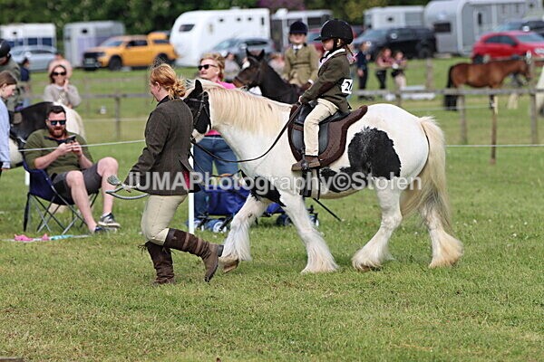 IMG_2295 - Working Hunter