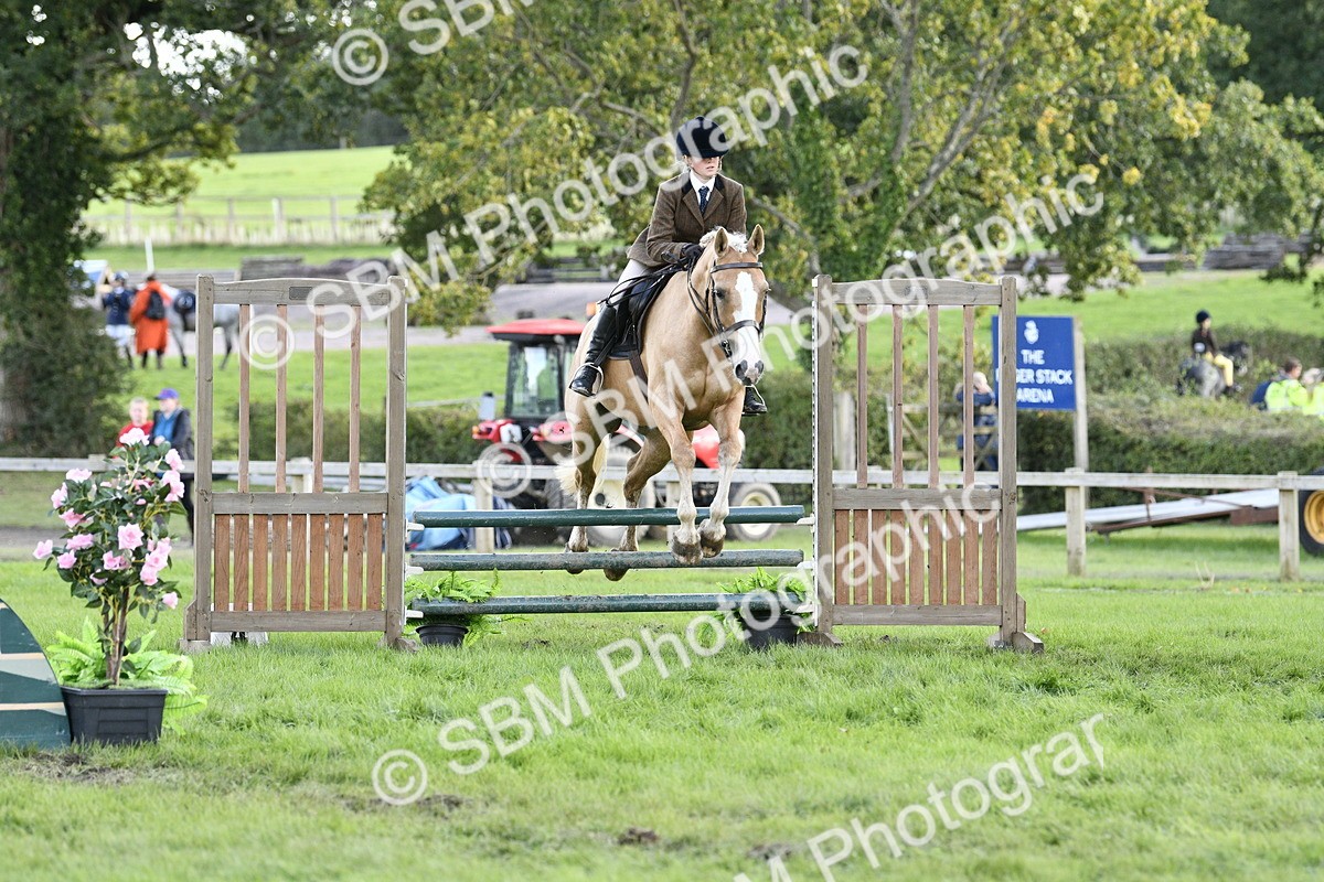 SBM_49952 - S34 - Novice & Newcomers Working Hunter