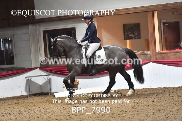 BPP_7990 - ELEM TEST 6