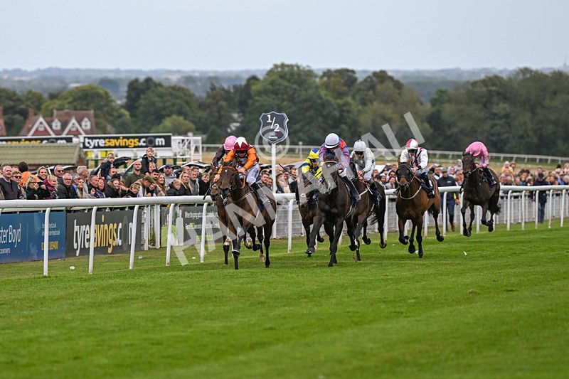 250824-Race 5-Lincoln Rockstar-3628 - Race 5