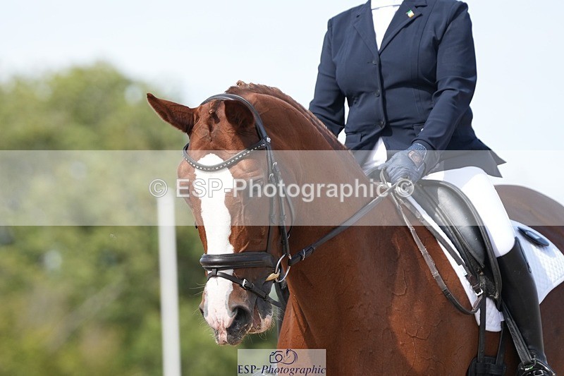 250906-140822-03478 - 052-Elaine.MurphyQT.An.Tainiste