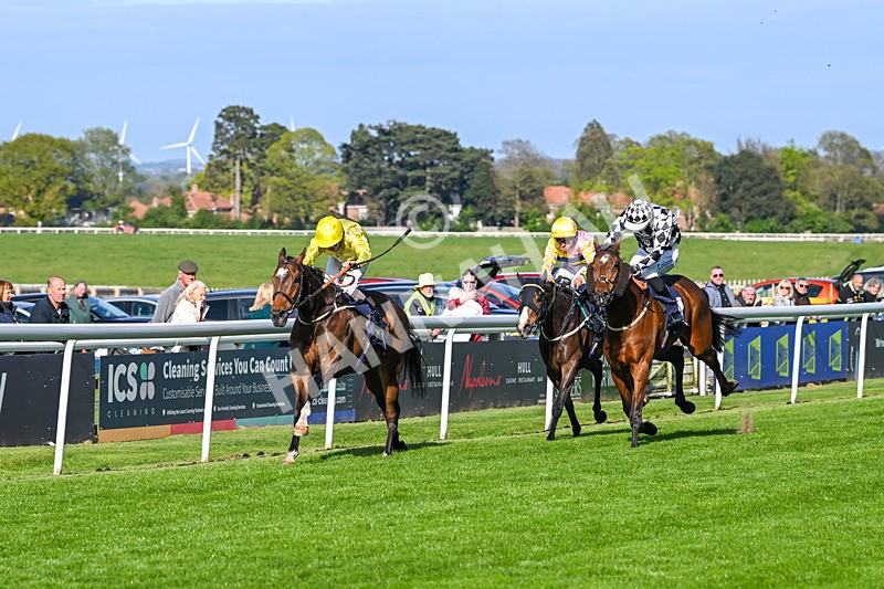 240425-Race 7-Mister Daydream-1789 - Race 7