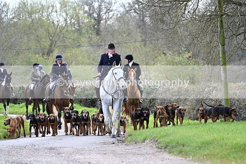 WJ7_9775 - Walk Home