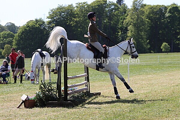 IMG_4491 - Working Hunter