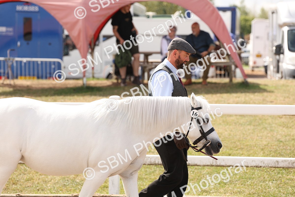 SBM_15015 - Class 209 - IH Veteran Pony