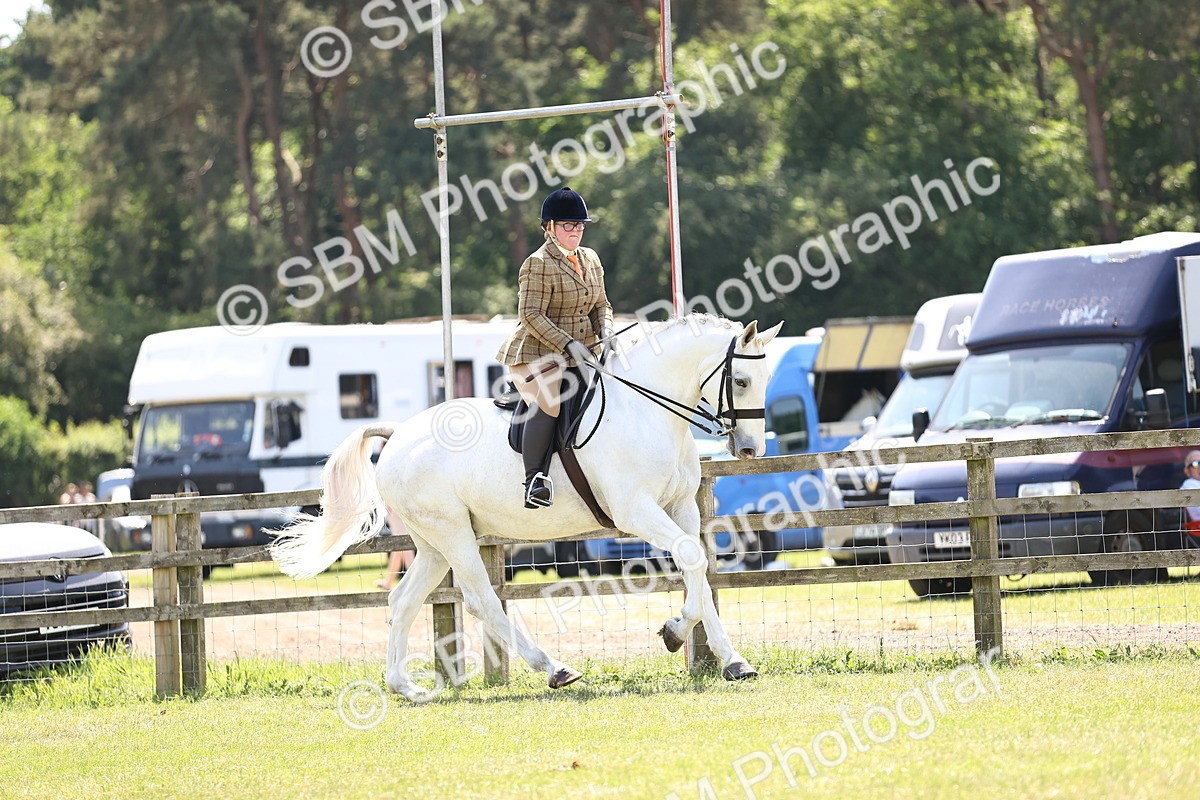 SBM_16217 - Class 79-80 - LIHS BSHA Rising Star Ridden Hunter