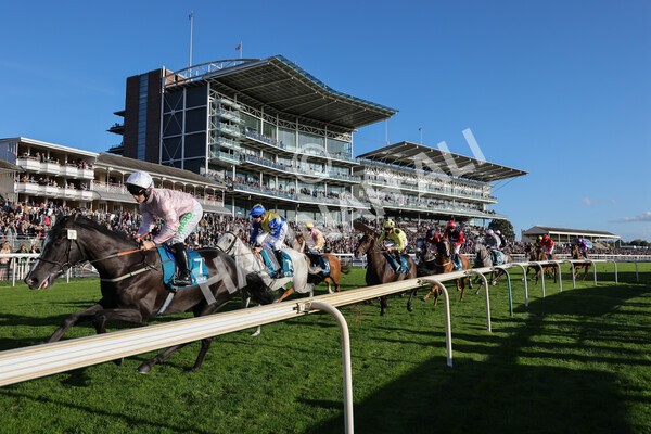 yr08102022r6-14 - Race 6 4.25pm The Watch Racing Online Free With Coral Handicap Stakes