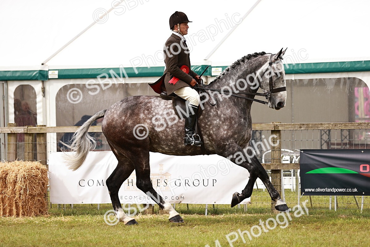SBM_11560_Class 81-84 - RIHS Ridden Hunters inc Ladies Hunter - Valentine