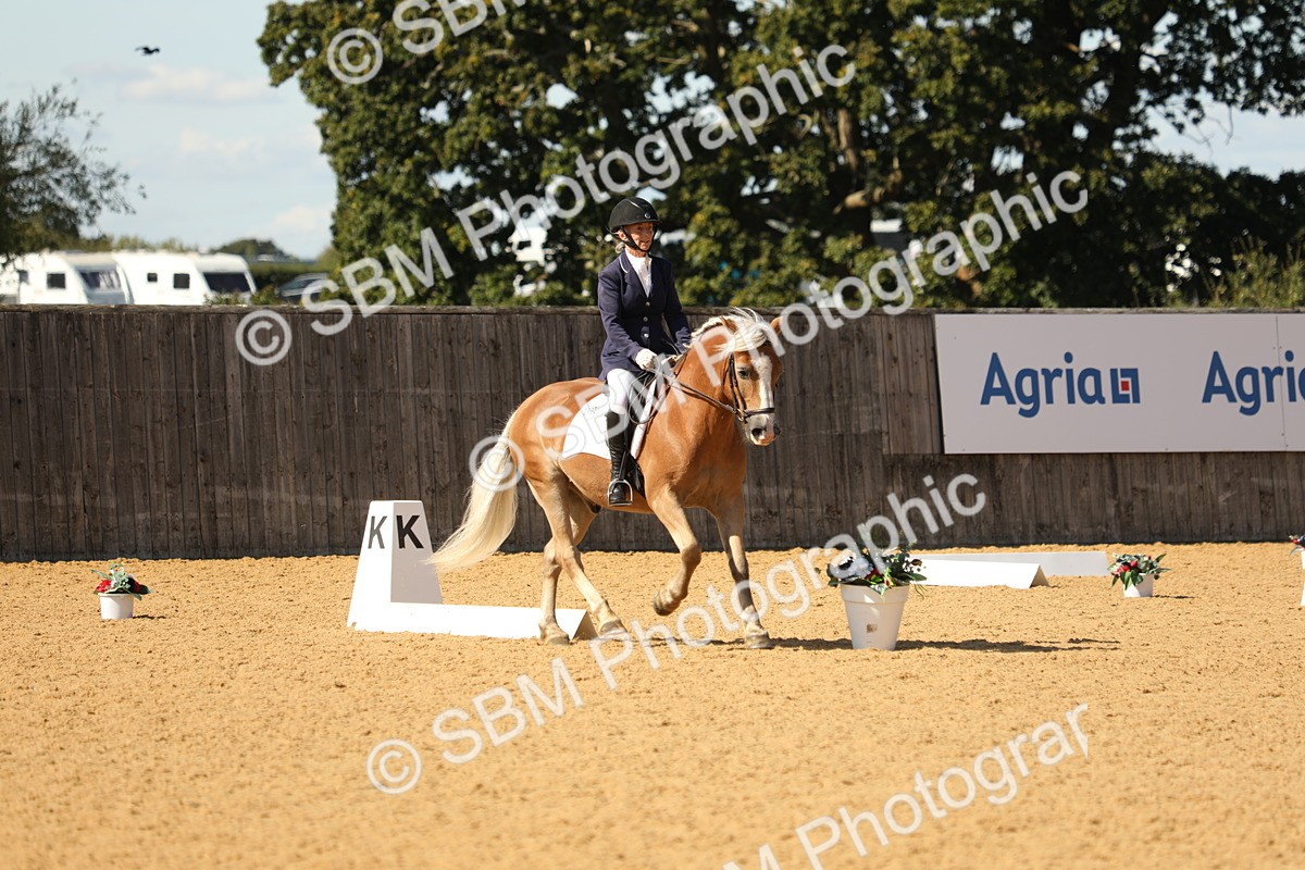 SBM_22389 - D17 - Grand Tour Championship - Novice 27