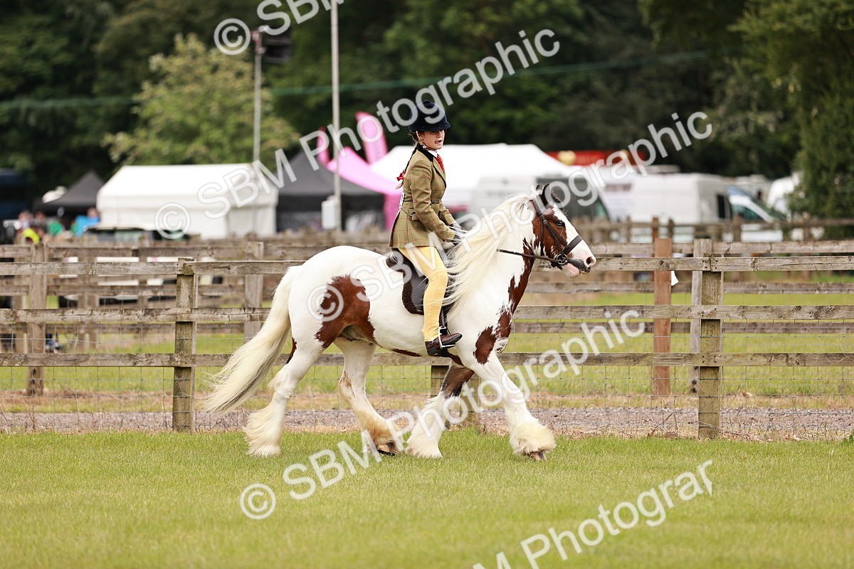 SBM_06199 - Class 39-41 TGCA In Hand and Ridden