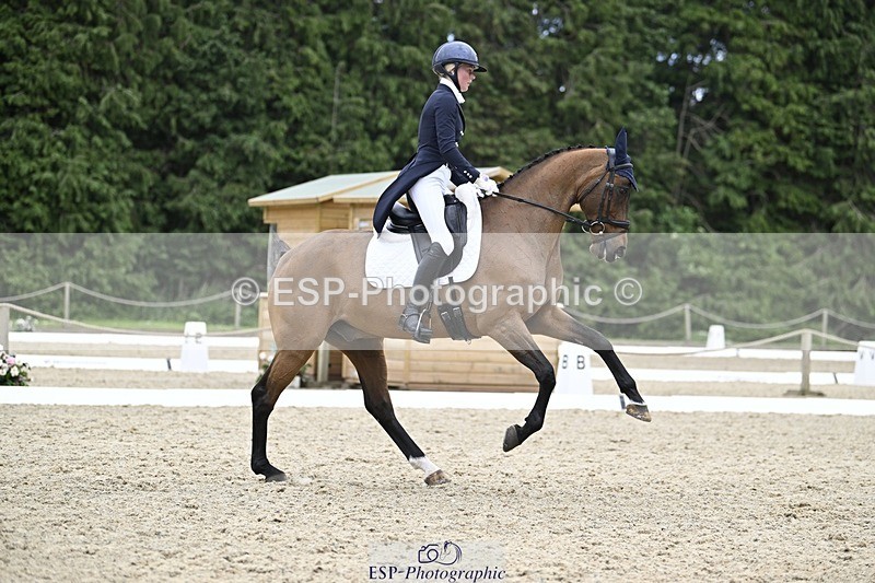 240523-145212-05123 - 442-FERNHILL_ZORO-Cassie_Sanger