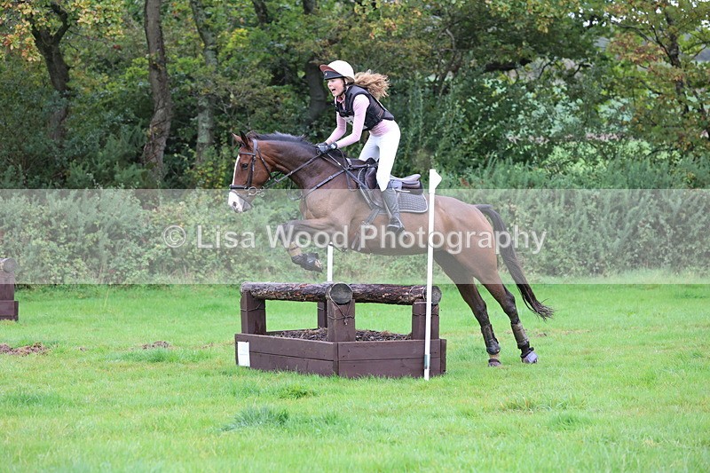 JPP_5381 - Class 4: 80cm: Crossed Logs