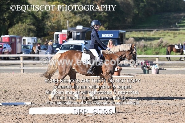 BPP_9086 - SHORT ARENA