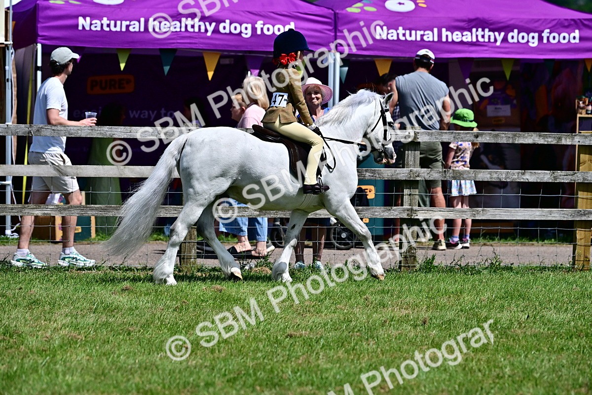 SBM_06422 - Class 59-60 - TSR M&M  Lear Rein and First Ridden Amateur of the year