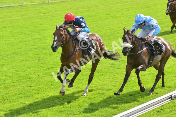 yr05092021rP-79 - Pony Races 138 and 148 cm