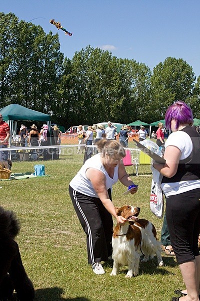  - Spirit of the Dog Funday July 2010