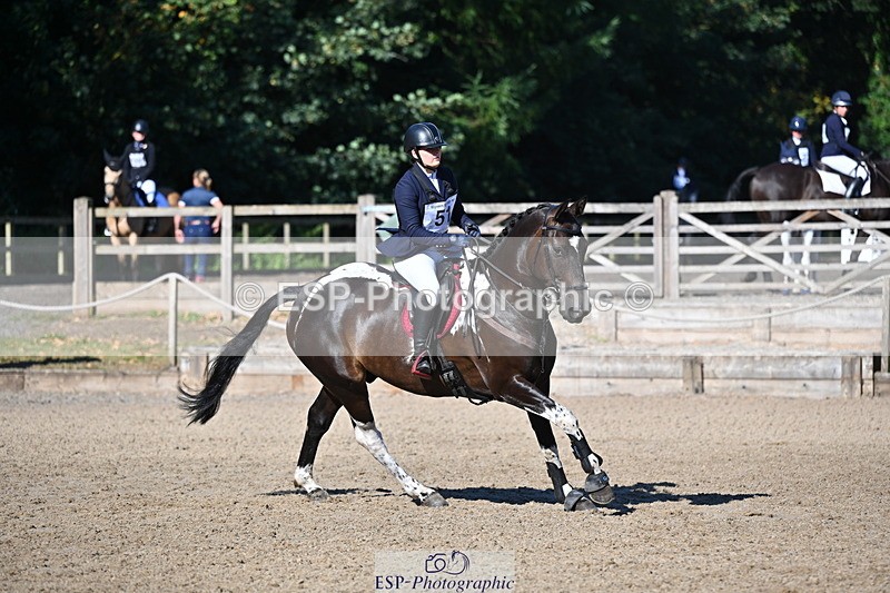 250802A-091735-00014 - B-051-Erin.Johnson-CROFTHOUSEFARM.APACHE.TIPONI