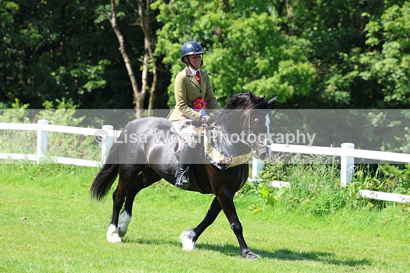 3E7A6845 - Working Hunter Pony Championship