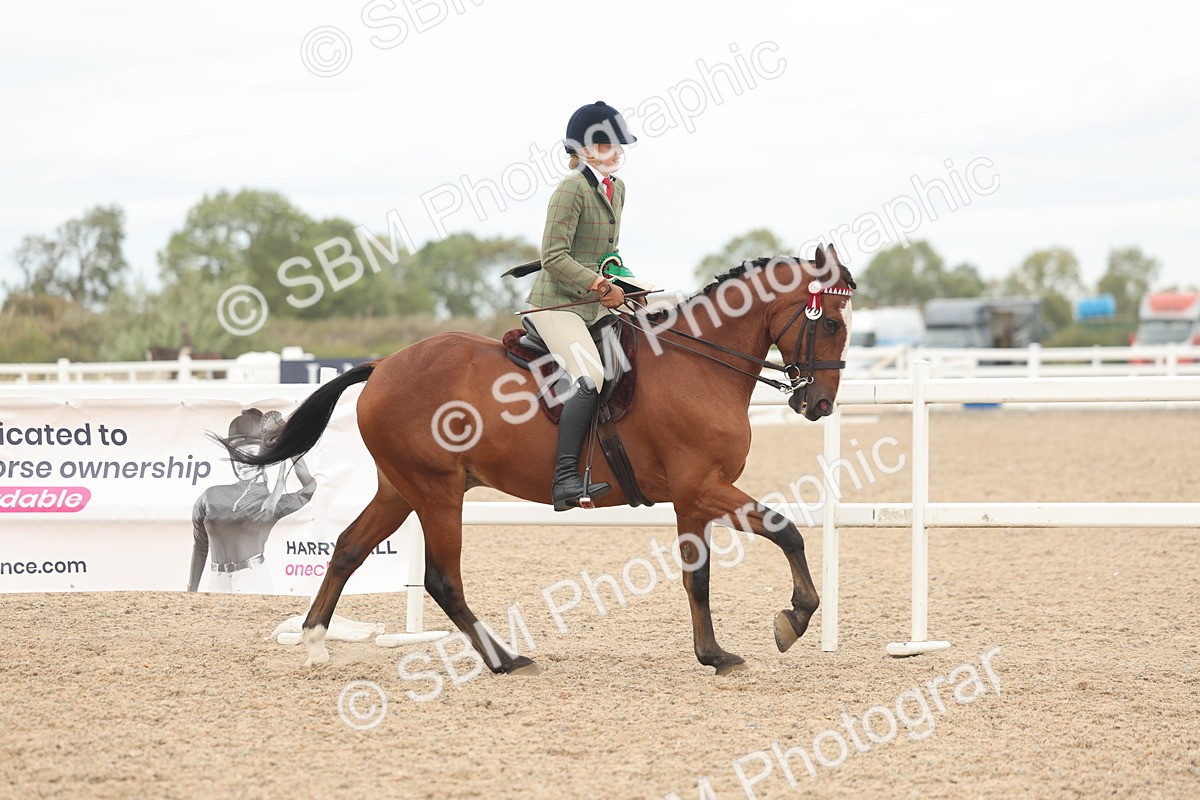 SBM_18241 - Class 315 - Best Horse-Rider Combination