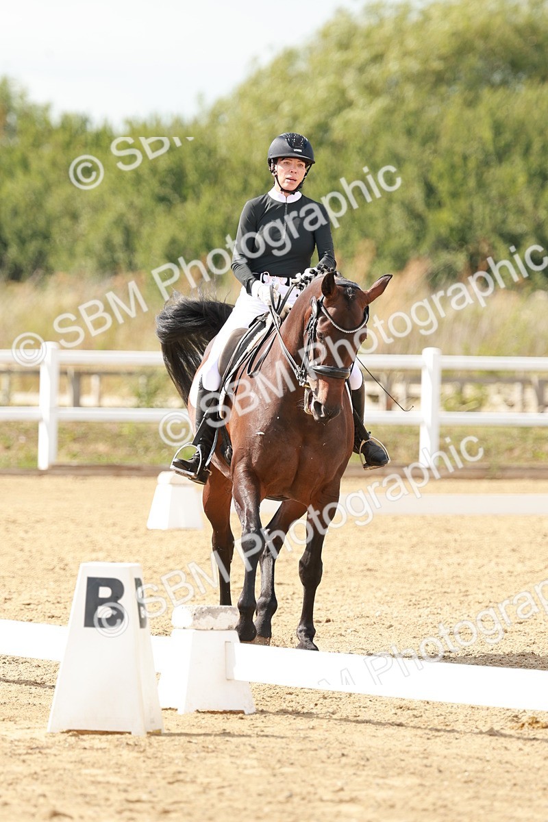 SBM_002444 - Class 11 - Medium 6