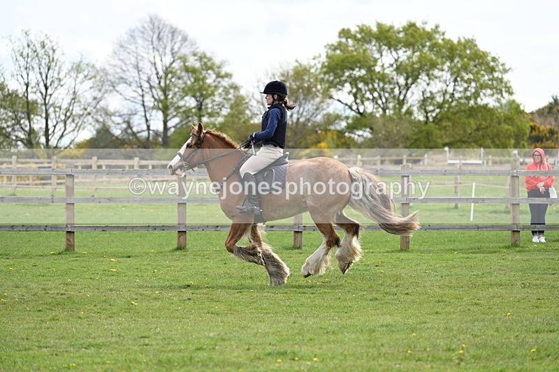 WJ7_6372 - 60cm Time 11:12 to 11:36