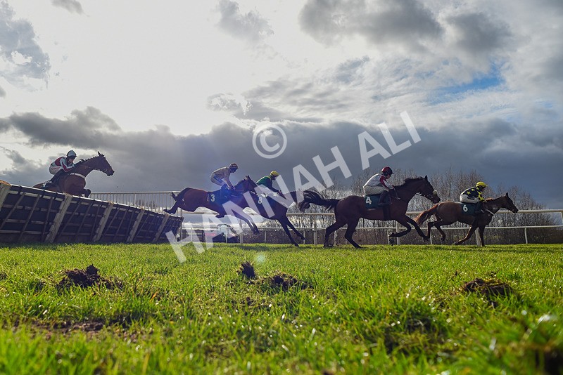 240226-Race 1-Itsinthename-9088 - Race 1